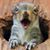 Karla Hall McCalla's profile image