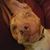Patti Post's profile image