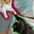 Christine Gervais's profile image