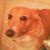 Candida Brown's profile image