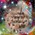 Martha Lopez's profile image