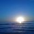 Sheri-Lynn Diskin's profile image