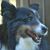 Cindy Learn's profile image