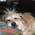 Sharon Sharr's profile image