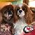 Kimberly Zeilmann's profile image