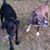 Margaret Wink Sharkey's profile image
