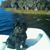 Sandra Branciforte's profile image
