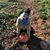 Katy Osbourn's profile image