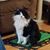 Mary Burger Schmedeke's profile image