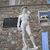Diane Marcacci's profile image