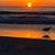 Ashleigh Kosin's profile image
