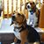Judy Sn's profile image