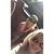 Wendy Schierman's profile image