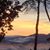 Yvonne Burns's profile image