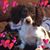 Christina Lacy's profile image