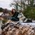 Rylie Gates's profile image