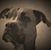 Steven Banaszak's profile image