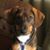 Kim Seeman's profile image