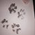 Brittney Dawn Trimble-Bell's profile image