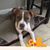Jenal Shortt's profile image