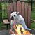 Kathleen Dunn Higley's profile image