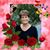 Linda Shaffer Carroll's profile image
