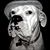 Steve Eddy's profile image