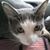 Shari Rom's profile image