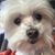 Sharon Beczkala Palmer's profile image