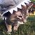 Cindy Weyker Madlung's profile image