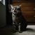 Angie Wheeler Etheridge's profile image