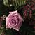 Martha Hahn's profile image