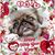 Dawn Belden's profile image