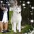 Tedi Devlin's profile image