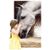 Diane Miniger's profile image