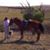 Marna Gray Holt Kazmaier's profile image