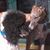 Jane Porter's profile image
