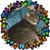 Jo Ann Erickson's profile image