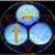 Rhonda Messina's profile image
