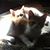Tanya Kaitlyn Voldarski's profile image