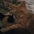 Denny Beaudin's profile image