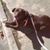 Jane Miller's profile image