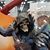 Terrence Brown's profile image
