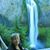 Angie Dillard's profile image