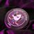 Ryan Arnold's profile image