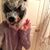 Tonya Watson's profile image