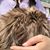 SF Jennifer's profile image