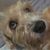 Beth Cameron's profile image
