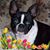 Eileen Ervin's profile image