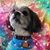 Dave Kommes's profile image